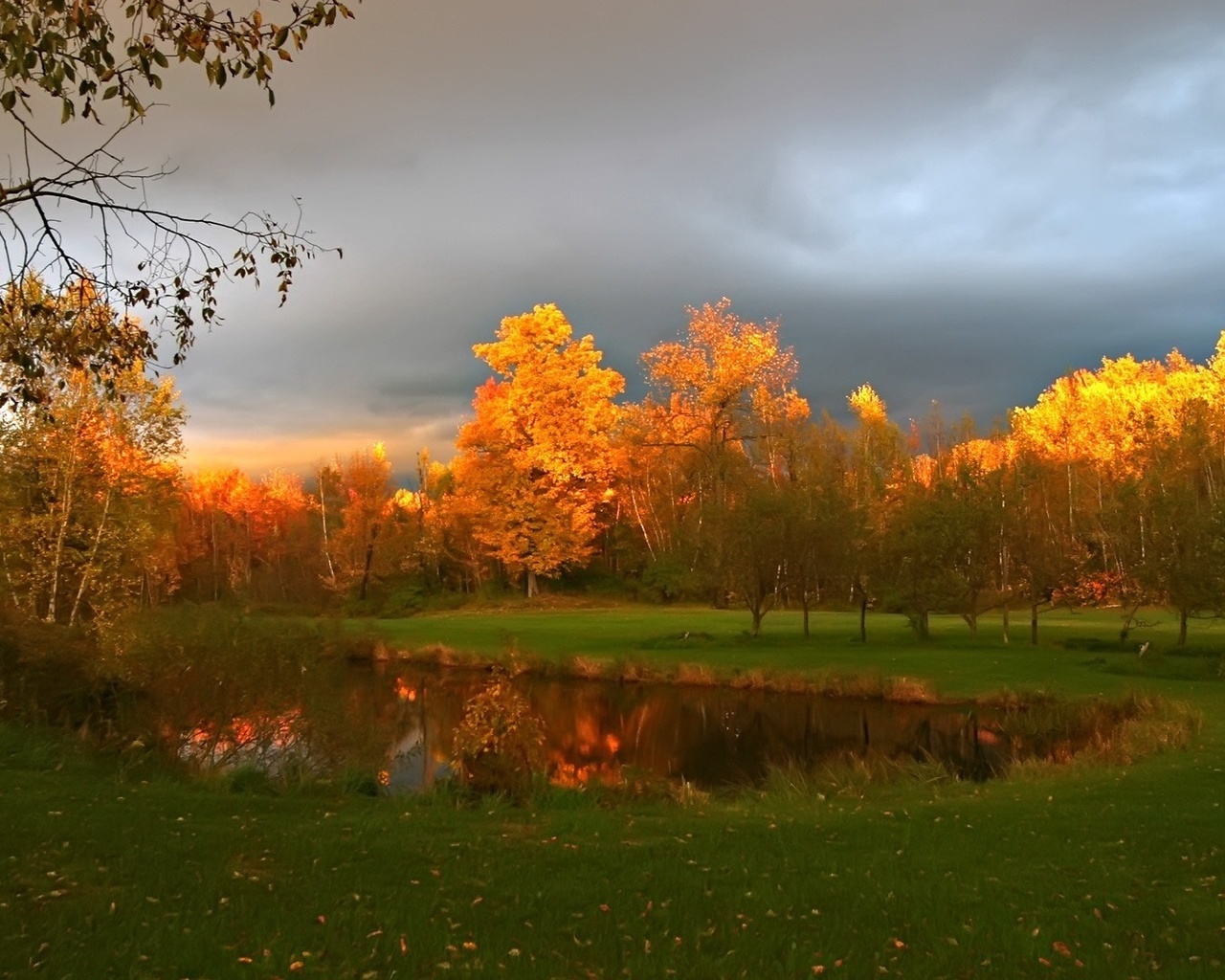 Обои трава, пасмурно, озеро, деревья, осень 238665 / Раздел: Пейзажи / Гудфон.рф (GoodFon)