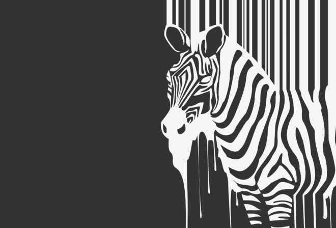 , , animal, zebra, , , 