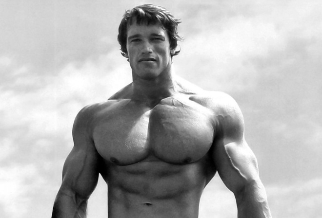 arnold schwarzenegger,    , 