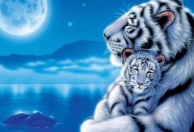 ночь, луна, тигры, нежность