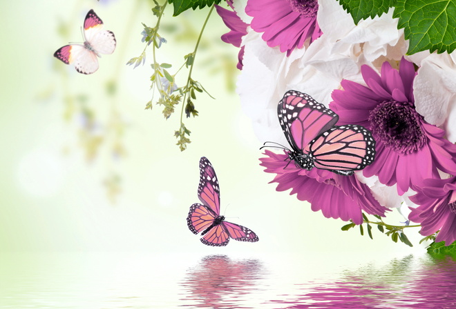 бабочки, весна, фиолет, вода, фотошоп, красиво, цветы