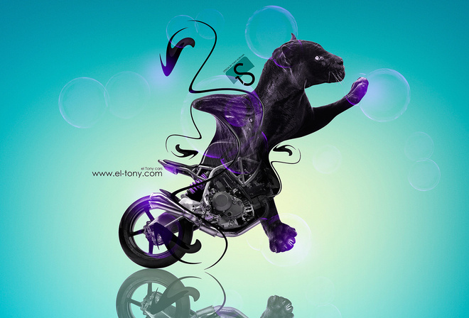 Tony Kokhan, NCR, M4, Fantasy, Animal, Moto, Bike, Cat, Panther, Blue, Violet, Black, Plastic, el Tony Cars, Photoshop, Design, Art, HD Wallpapers,  , , , , , , , , ,  , , , 