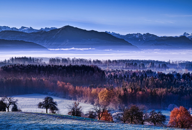 foggy, winter, trees, snow, ice, mountain