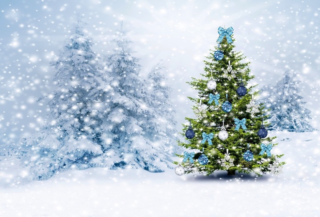 елка, красивая, украшения, снег, ели, светлый фон, новый год