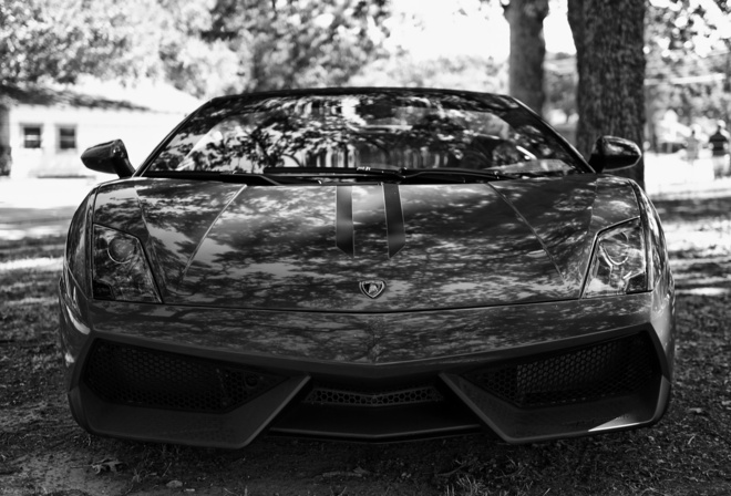 car, bw, pug, lamborghini gallardo, lights