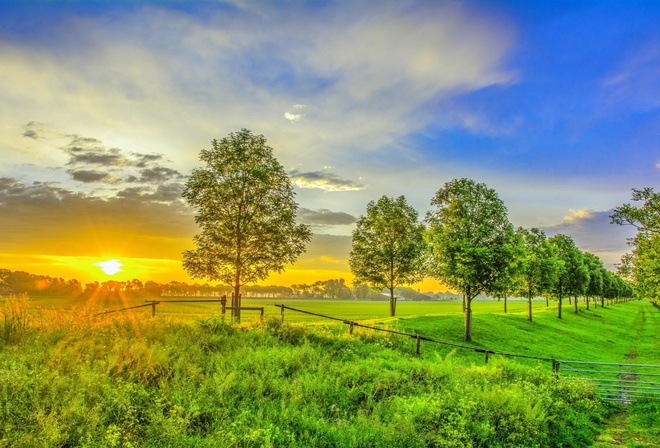 sunset, sunlight, grass, land