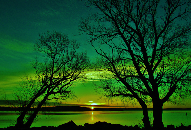 sunrise, lake, tree, sky, nature