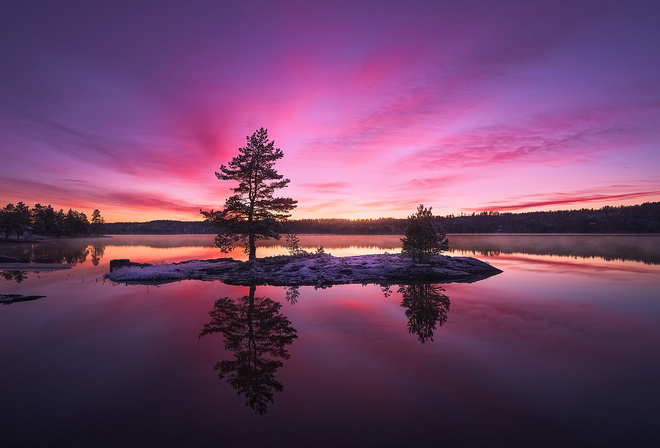 , , , , Ole Henrik Skjelstad, , , , , 