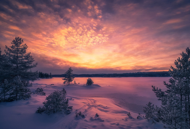 , , , , Ole Henrik Skjelstad, , , , 