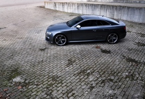  , , , Audi, rs5,  , auto wallpapers, cars