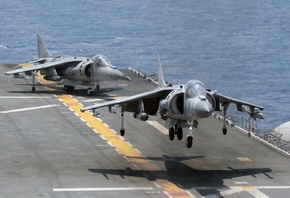 Harrier, , , , 