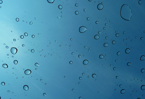 macro, , water drops, 1920x1080, , 