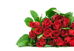 beautiful, roses, bouquet, rose, Flower, nice, flowers, cool, red roses, be ...