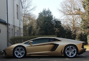 gold, wheels, lamborghini, lp700-4, black, aventador