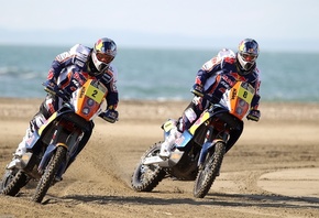 , red bull, dakar, , , 