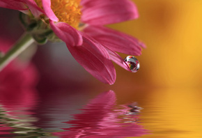 , macro, waterdrop, , , 