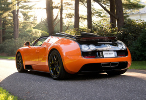 bugatti veyron,  , , , , vitesse