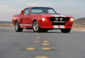 Ford, mustang, gt500, shelby, , , , , 
