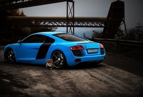 Audi R8, sportcar, cupe, , , , , , ,  ...