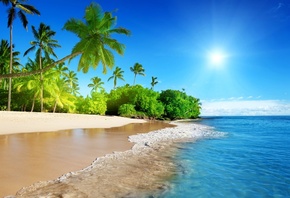 tropical, paradise, sunshine, beach, coast, sky, ocean, palm, summer,  ...