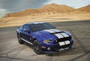 ford, shelby, gt500, , , , , , , , 
