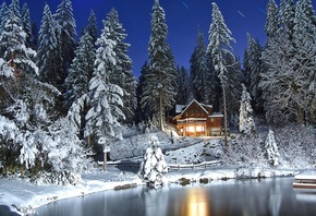 lake, frozen, tree, house, snow, cold