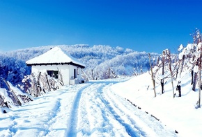 mountain, house, cottage, snowy, tree, patch