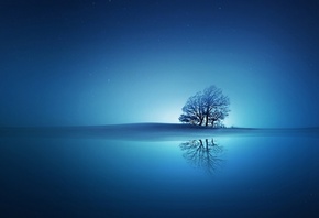 reflection, tree, blue, stars, sky