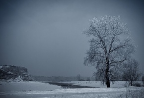 frozen, tree, snow, ice, river, winter