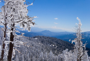 mountain, grass, gree, grass, sky, snow