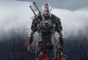 The Witcher 3: Wild Hunt,  3:  , CD Projekt RED, ,  ...