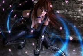 Dead or Alive 5, Kasumi Ninja, , , 