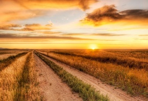 sun, sunrise, fields, grass, clouds, sky