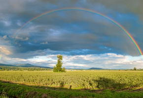 Pitt Meadows, British Columbia, Canada, , , , , ,  ...