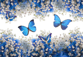 blue, white, flowers, blossom, butterflies, , 