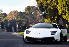 lamborghini, road, fields, wheel