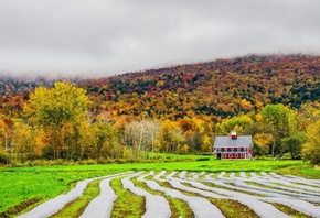 fields, autumn, house, fog