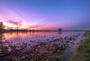 lake, muddy, purple, water