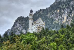 Neuschwanstein Castle, forest, Rocks, castle, landscape