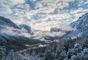 Yosemite National Park, California, Sierra Nevada,    ...