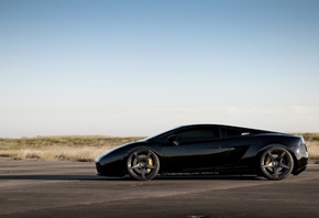 , lamborghini, , , 