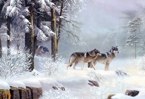 wolves, winter, snow, wild