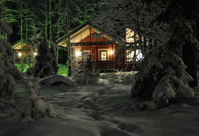 snow, winter, house, tree