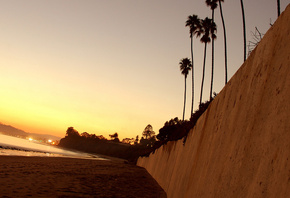 sunset, palm trees, city, lights, ocean