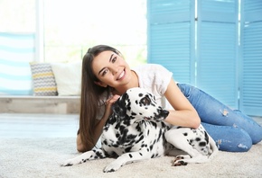 , , , , dalmatian, dog