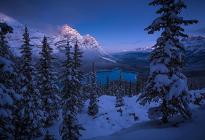 Peyto Lake, Banff National Park, , , 