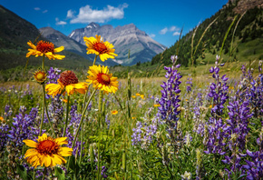 , , , Canada, Waterton, National Park, , , ,  ...