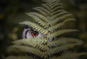 Tanja Brandt,  , , , , , 