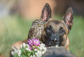 Tanja Brandt, , , , , , , , 