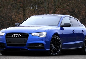 Audi, a5, ,  